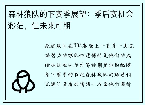 森林狼队的下赛季展望：季后赛机会渺茫，但未来可期